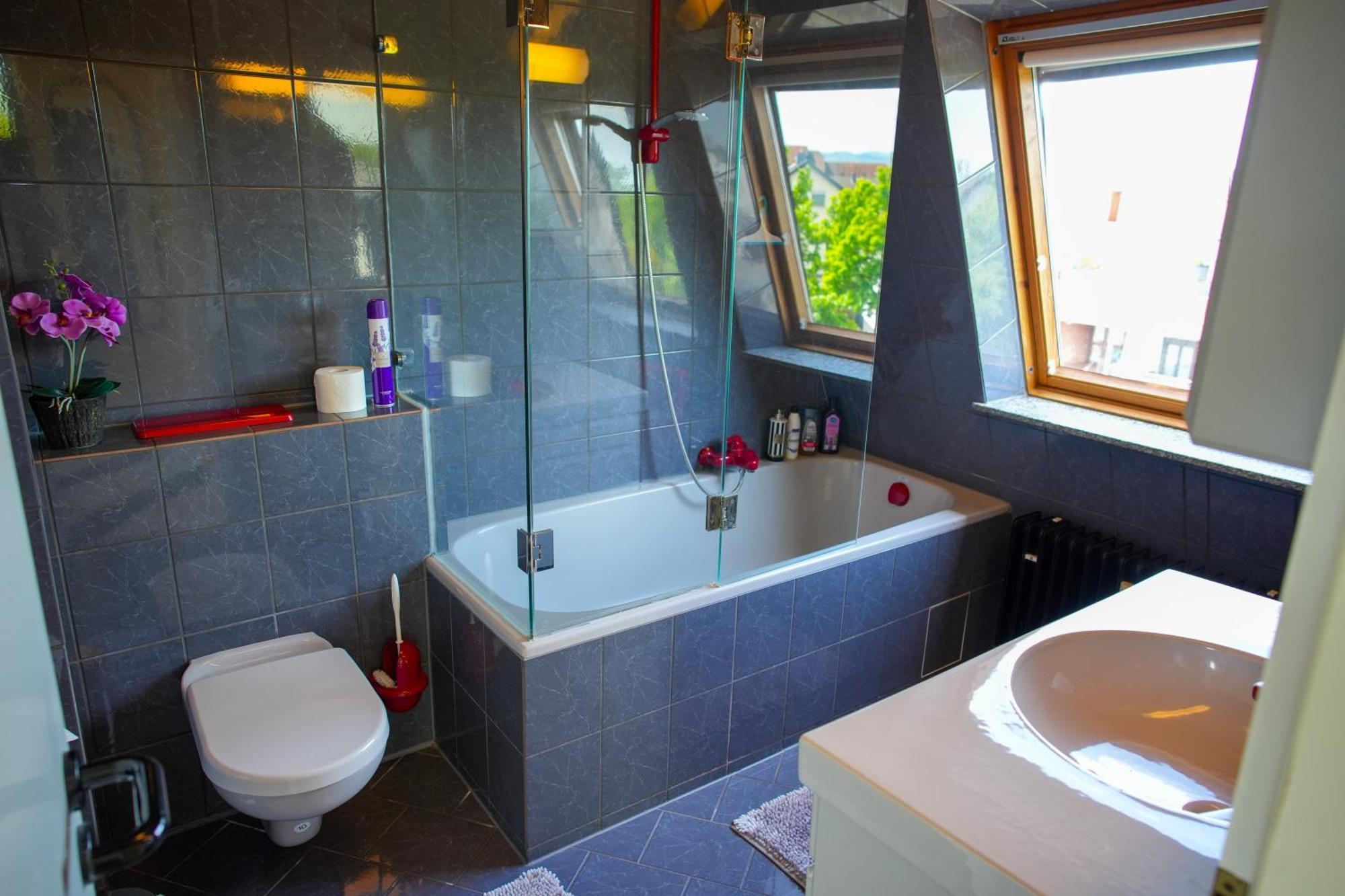 Schoenes Studio In Der Rheinebene, Zentral Gelegen Rheinstetten Luaran gambar